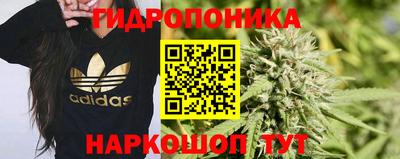 ПСИЛОЦИБИНОВЫЕ ГРИБЫ Среднеуральск